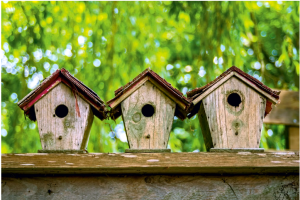 Bluebird House