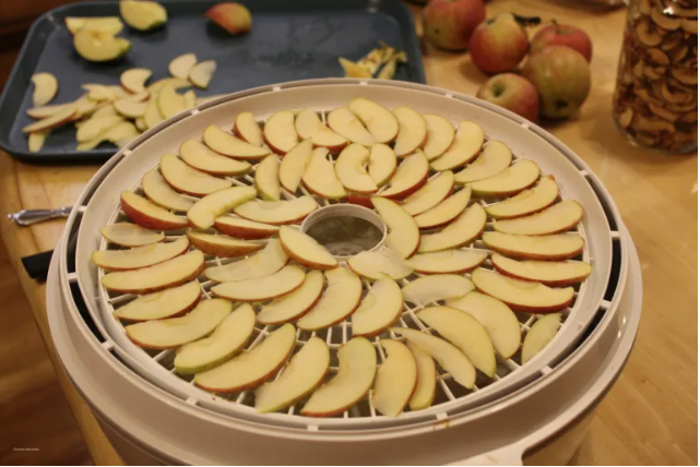 How to Dehydrate Apples Storage Reason Selection, and Process