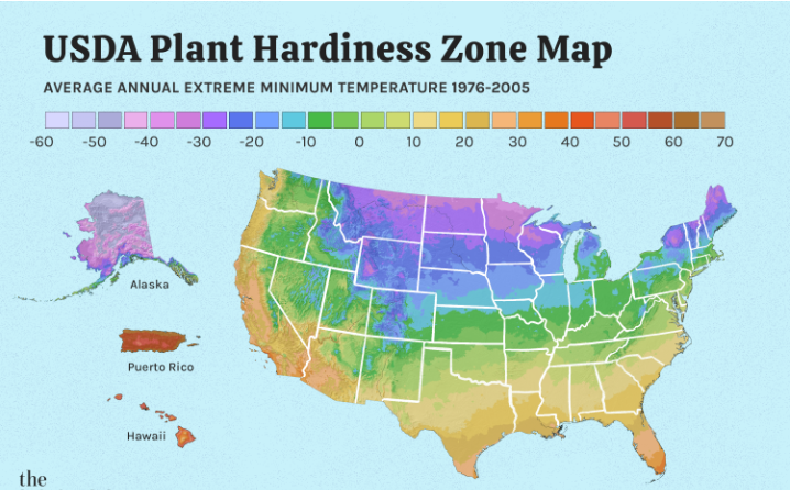 planting zone map