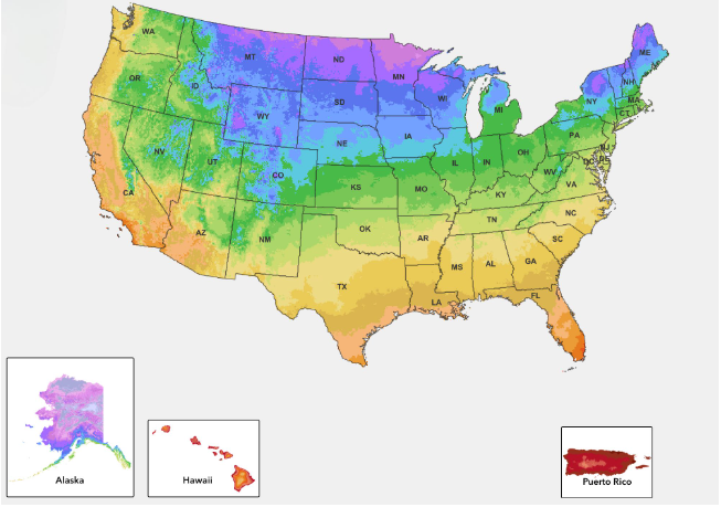 Understanding the Planting Zone Map A Beginner’ Guide 2024